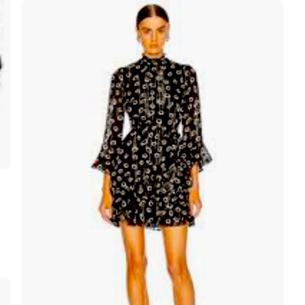 Saloni ruffled print dress